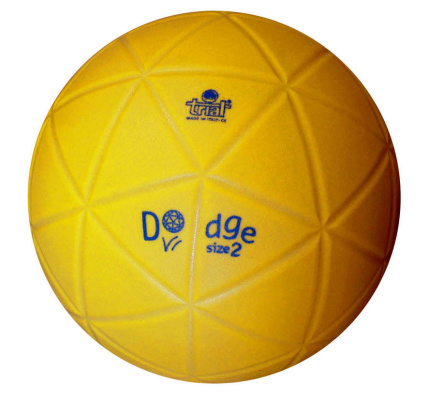 15.682 Dodge trial senior